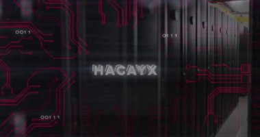 Veri işleme ve sunucu odası üzerinden hacklenmiş metnin animasyonu. Teknoloji ve dijital arayüz kavramı, dijital olarak oluşturulmuş video.