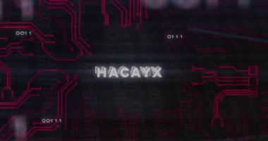 Veri işleme üzerinden hacklenmiş metnin animasyonu. Teknoloji ve dijital arayüz kavramı, dijital olarak oluşturulmuş video.