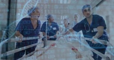 Hastanede çalışan çeşitli doktorlarda veri işleme ve DNA iplikçiklerinin animasyonu. Küresel tıp, sağlık, bilgisayar ve dijital arayüz kavramı, dijital olarak oluşturulmuş video.