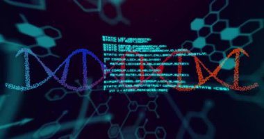 DNA dizilimi ve bilimsel veri işleme animasyonu. Küresel bilim, bağlantılar, hesaplama ve veri işleme kavramı, dijital olarak oluşturulmuş video.