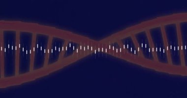 Siyah arka planda DNA ipliği üzerinde finansal veri işleme animasyonu. Küresel tıp, bilim, bilgisayar ve dijital arayüz kavramı, dijital olarak oluşturulmuş video.