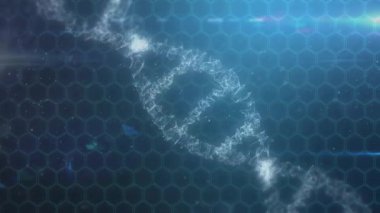 Mavi arka planda DNA iplikçiklerinin dönmesi ve veri işleme animasyonu. Küresel bilim, bağlantılar, hesaplama ve veri işleme kavramı, dijital olarak oluşturulmuş video.