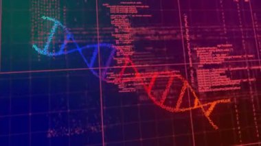 Siyah arka planda DNA ipliği üzerinde veri işleme animasyonu. Küresel bilim, teknoloji, bilgisayar ve dijital arayüz kavramı, dijital olarak oluşturulmuş video.