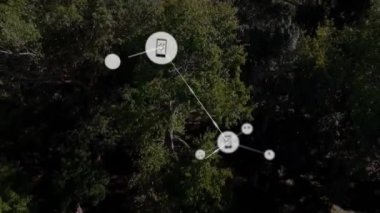Orman manzarası üzerinde bağlı aygıtlar ve veri paylaşımı ağı. Teknoloji, bağlantı, IoT, bulut, iletişim, dijital
