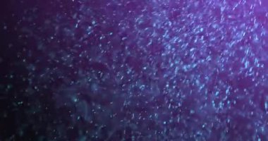 Siyah arkaplandaki ışık noktalarının canlandırması. Şekiller, renkler, desen ve arkaplan konsepti, dijital olarak oluşturulmuş video.