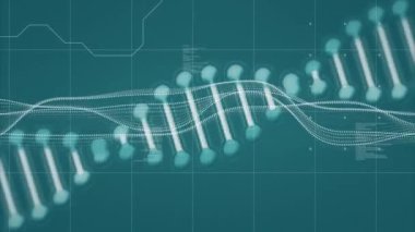 Mavi arka planda veri işleme ve DNA iplikçiklerinin canlandırılması. Küresel tıp, bilim, bilgisayar ve dijital arayüz kavramı, dijital olarak oluşturulmuş video.