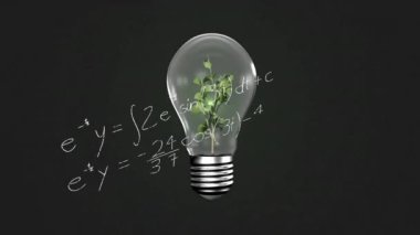 Matematiksel denklemlerin üzerinde bitki bulunan ampulün siyah zemin üzerindeki animasyonu. Küresel bilim, eğitim ve dijital arayüz kavramı, dijital olarak oluşturulmuş video.
