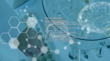 Bilimsel veri işleme ve insan beyninin laboratuvardaki bilim adamına göre animasyonu. Küresel bilim, bağlantılar, hesaplama ve veri işleme kavramı, dijital olarak oluşturulmuş video.