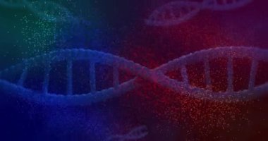 Siyah arka plandaki DNA iplikçiklerinin animasyonu. Küresel bilim, teknoloji, hesaplama, bağlantılar ve dijital arayüz konsepti, dijital olarak oluşturulmuş video.