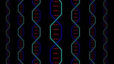 Siyah arka planda dönen çok renkli DNA iplikçiklerinin animasyonu. Küresel bilim, bağlantılar, hesaplama ve veri işleme kavramı, dijital olarak oluşturulmuş video.