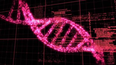 Siyah arka plandaki veri işleme üzerindeki DNA iplikçiklerinin animasyonu. Küresel tıp, bilim, bilgisayar ve dijital arayüz kavramı, dijital olarak oluşturulmuş video.