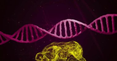 DNA ipliği üzerinde hareket eden sarı şekillerin animasyonu. Teknoloji, iş ve dijital arayüz kavramı, dijital olarak üretilen video.