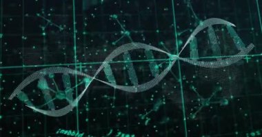 DNA ipliği ve siyah arkaplandaki moleküller üzerinde veri işleme animasyonu. Küresel bilim, teknoloji, hesaplama, bağlantılar ve dijital arayüz konsepti, dijital olarak oluşturulmuş video.