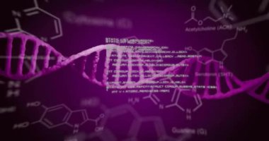 DNA dizilimi ve bilimsel veri işleme animasyonu. Küresel bilim, bağlantılar, hesaplama ve veri işleme kavramı, dijital olarak oluşturulmuş video.