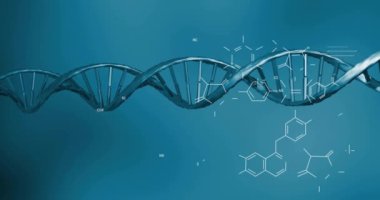 DNA iplikçikleri üzerinde bilimsel veri işleme animasyonu. Küresel bilim, bağlantılar, hesaplama ve veri işleme kavramı, dijital olarak oluşturulmuş video.