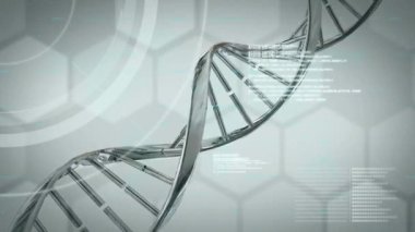 DNA ipliği üzerinde dijital veri işleme animasyonu. Küresel bilim, bağlantılar, hesaplama ve veri işleme kavramı, dijital olarak oluşturulmuş video.