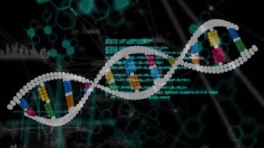Siyah zemin üzerindeki DNA ipliği üzerinde veri işleme ve bağlantı ağının animasyonu. Küresel tıp, bilim, hesaplama, bağlantılar ve dijital arayüz konsepti, dijital olarak oluşturulmuş video.