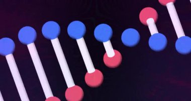 Siyah arka planda dönen ve parlayan DNA iplikçiklerinin animasyonu. Küresel bilim, bağlantılar, hesaplama ve veri işleme kavramı, dijital olarak oluşturulmuş video.