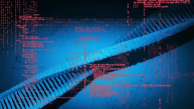 Mavi arka planda DNA ipliği üzerinde veri işleme animasyonu. Küresel bilim, teknoloji, bilgisayar ve dijital arayüz kavramı, dijital olarak oluşturulmuş video.