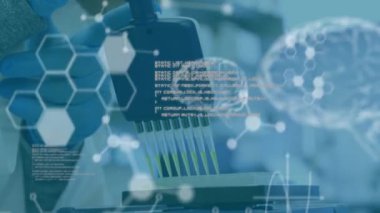 Bilimsel veri işleme ve insan beyninin laboratuvardaki bilim adamına göre animasyonu. Küresel bilim, bağlantılar, hesaplama ve veri işleme kavramı, dijital olarak oluşturulmuş video.