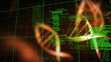 Siyah arka plandaki DNA iplikçiklerinin üzerinde veri işleme animasyonu. Küresel bilim, teknoloji, bilgisayar ve dijital arayüz kavramı, dijital olarak oluşturulmuş video.