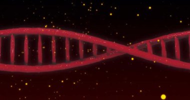 Siyah arka planda dönen DNA iplikçiklerinin ve parlayan ışık noktalarının canlandırması. Küresel bilim, bağlantılar, hesaplama ve veri işleme kavramı, dijital olarak oluşturulmuş video.
