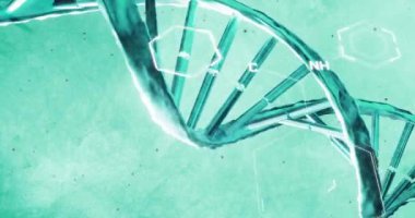 DNA iplikçikleri üzerinde bilimsel veri işleme animasyonu. Küresel bilim, bağlantılar, hesaplama ve veri işleme kavramı, dijital olarak oluşturulmuş video.