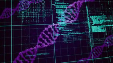 Siyah arka plandaki DNA iplikçiklerinin üzerinde veri işleme animasyonu. Küresel bilim, teknoloji, bilgisayar ve dijital arayüz kavramı, dijital olarak oluşturulmuş video.
