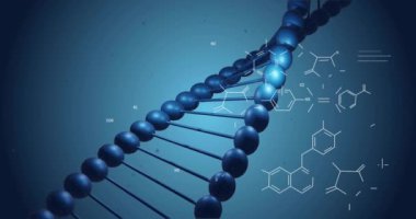 DNA iplikçikleri üzerinde bilimsel veri işleme animasyonu. Küresel bilim, bağlantılar, hesaplama ve veri işleme kavramı, dijital olarak oluşturulmuş video.