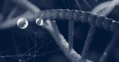 DNA ipliği üzerinde beyaz lekelerin canlandırılması. Teknoloji, bilim ve dijital arayüz kavramı, dijital olarak üretilen video.