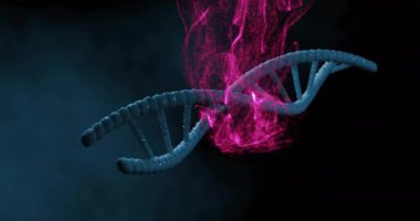 DNA ipliği üzerinde hareket eden pembe şekillerin animasyonu. Teknoloji, iş ve dijital arayüz kavramı, dijital olarak üretilen video.