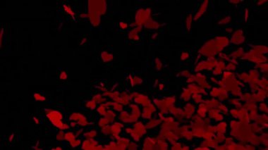 Kırmızı kalplerin karanlık arka plana düşüşünün animasyonu. Aşk, romantizm, sevgililer günü ve duygu konsepti, dijital olarak oluşturulmuş video.