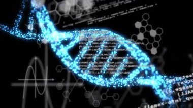 Siyah arkaplanda DNA ipliği üzerinde veri işleme animasyonu. Teknoloji ve dijital arayüz kavramı dijital olarak oluşturuldu.