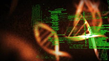 DNA ipliği üzerinde veri işleme animasyonu. Teknoloji, bilim ve dijital arayüz kavramı, dijital olarak üretilen video.