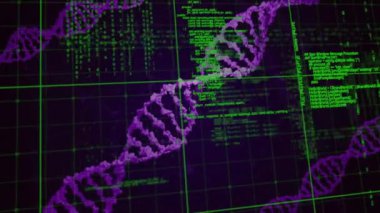 DNA iplikçiklerinin üzerinde veri işleme animasyonu. Teknoloji, bilim ve dijital arayüz kavramı, dijital olarak üretilen video.