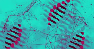 DNA ipliği ve ağ bağlantıları, bilimsel veri işleme animasyonu. Biyoteknoloji, genetik, biyoenformatik, moleküler, araştırma, görselleştirme