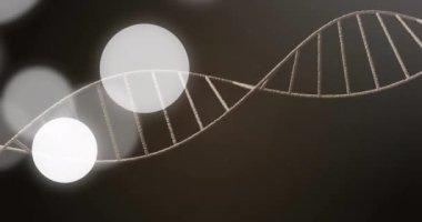 DNA ipliği ve parlayan çemberler, bilimsel araştırma animasyonu. Genetik, biyoloji, bilim, teknoloji, laboratuvar, molekül