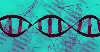 Bağlantı ve veri noktaları ağı üzerinden DNA çift sarmal animasyonu. Genetik, biyoteknoloji, biyoenformatik, araştırma, bilim, dijital