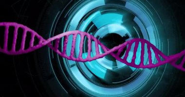 DNA ipliği ve dijital arayüz, bilimsel veri işleme animasyonu. Bilim, teknoloji, genetik, biyoteknoloji, araştırma, laboratuvar.