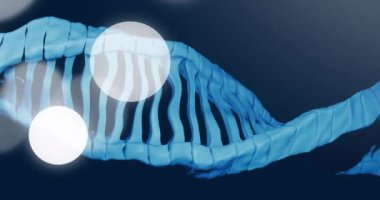 Koyu arkaplan üzerinde parlayan daireler olan DNA ipliği animasyonu. Genetik, biyoteknoloji, bilim, genom, molekül, araştırma