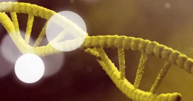 Arka planda bulanık ışık üzerindeki DNA ipliği animasyonu. Bilim, genetik, biyoteknoloji, araştırma, moleküler, sarmal