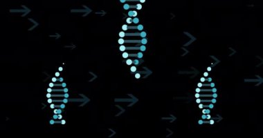 DNA iplikleri ve oklar, genetik veri animasyonu siyah arkaplan üzerinde. Genetik, dizilim, dijital, biyoteknoloji, moleküler, biyoenformatik