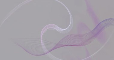 Açık gri arkaplanda mor ve beyaz çizgiler halinde akan animasyon. soyut, hareket, tasarım, modern, minimalist, dijital
