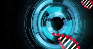Fütürist dijital arayüz animasyonu üzerinde DNA ipliği ve ikili kodlama. Teknoloji, genetik, bilim, veri, görselleştirme, biyoteknoloji