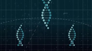 DNA iplikleri, matematiksel denklemler, bilimsel veri işleme animasyonu. Bilim, teknoloji, genetik, biyoloji, yenilik, matematik