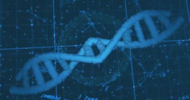 Mavi şebeke üzerinde DNA ipliği ve bilimsel veri işleme animasyonu. Biyoteknoloji, genetik, moleküler, araştırma, laboratuvar, bilim