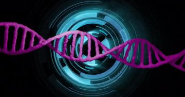 DNA ipliği gelecekteki dijital arayüz animasyonunun üzerinde dönüyor. Genetik, biyoteknoloji, moleküler, sarmal, bilim, araştırma konsepti
