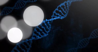 DNA iplikleri, parıldayan küreler, bilimsel animasyon. Bilim, biyoteknoloji, genetik, moleküler, sarmal, araştırma konsepti