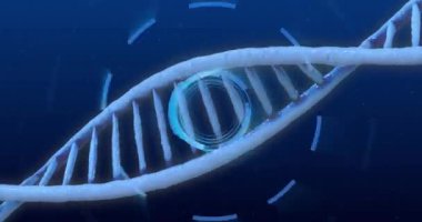Dönen dairesel elementlerle DNA ipliği, bilimsel veri işleme animasyonu. Genetik, biyoteknoloji, biyoenformatik, moleküler, sarmal, genom