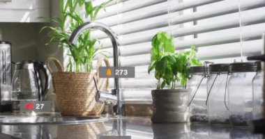 Mutfak tezgahında bitki ve mutfak gereçleri ile sosyal medya animasyonları. dijital, teknoloji, mobil, konsept